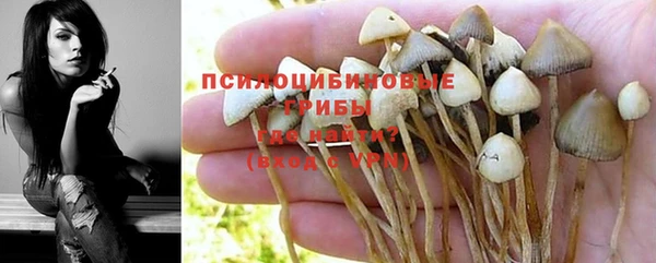 ECSTASY Сатка