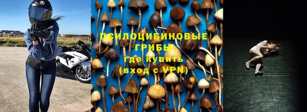 прущие грибы Алексин
