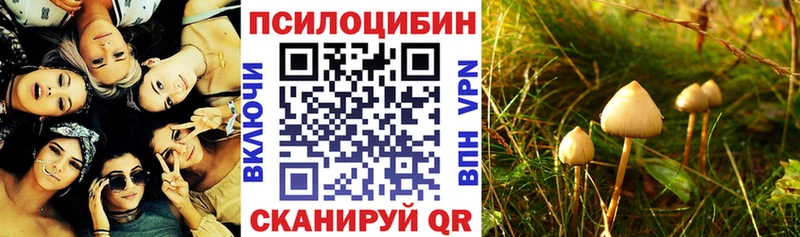 Галлюциногенные грибы ЛСД  где продают наркотики  Конаково 