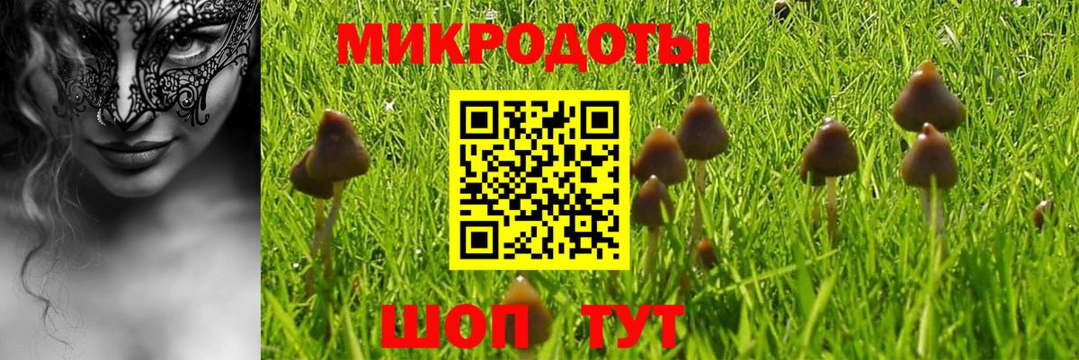 Галлюциногенные грибы мухоморы  Вход с VPN  наркошоп  Конаково 